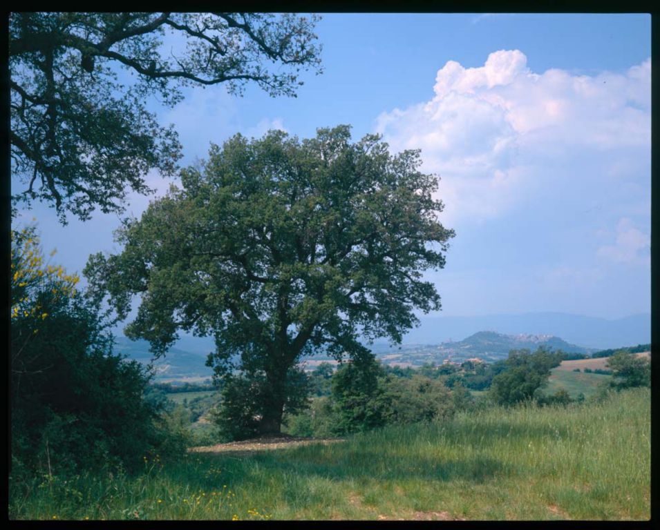 i 2373