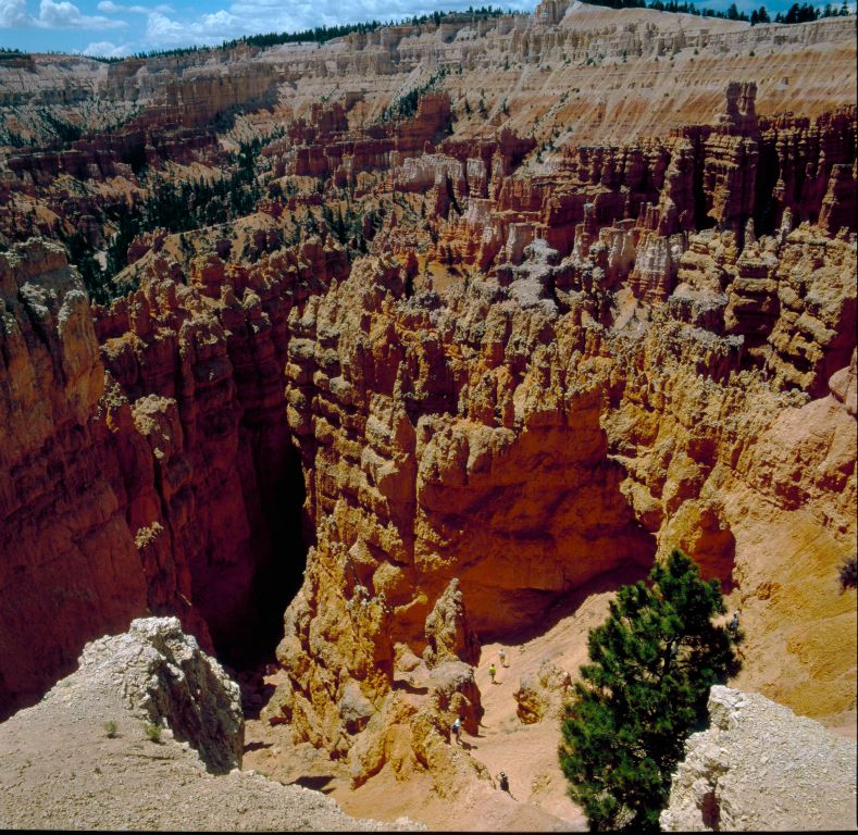 USA0895